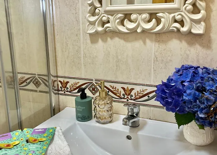 Daire Atico Palmeras Caldas De Reis